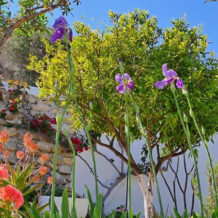 Vila Arhondia House Ierápetra Exteriér fotografie