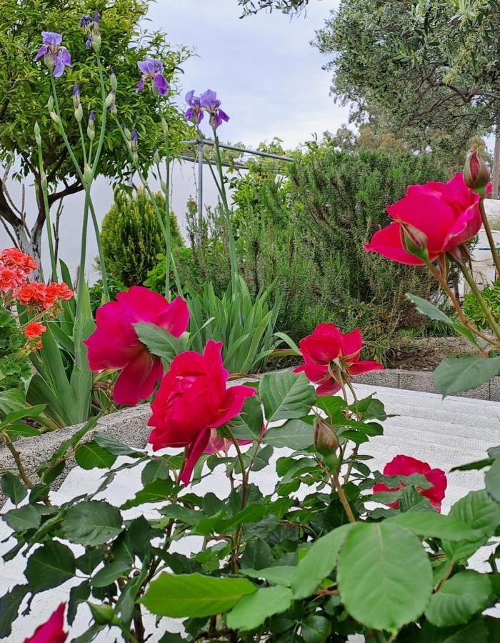 Vila Arhondia House Ierápetra Exteriér fotografie
