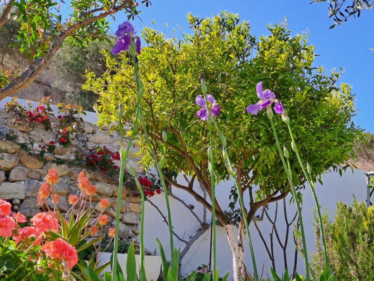 Vila Arhondia House Ierápetra Exteriér fotografie